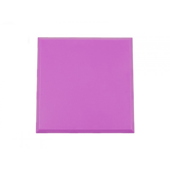 ALLNET BrickRknowledge Kunststoffschale 2x2 violett oben und unten 10er Pack