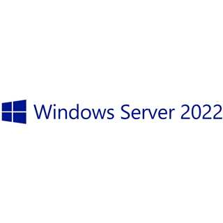 OEM Windows Server 2022 CAL 10 User