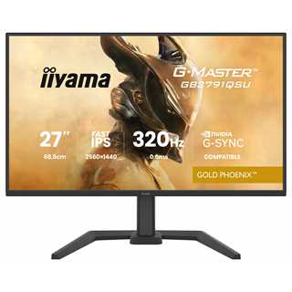 iiyama G-MASTER Gold Phoenix™ GB2791QSU-B1 Gaming-Monitor 68,5 cm (27
