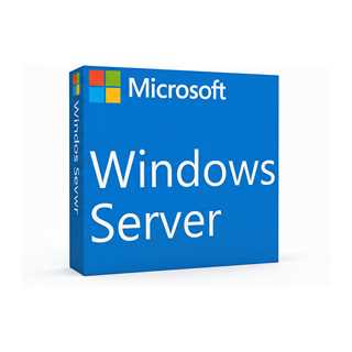 Microsoft WINSVR CAL 2025 1User
