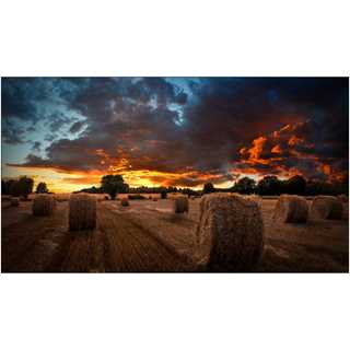 Samsung Smart Signage VM55B-U 138.70cm(55