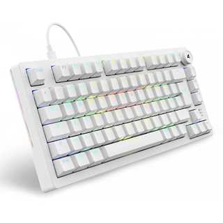 Sharkoon Gaming Tastatur Skiller SGK25 weiß DE
